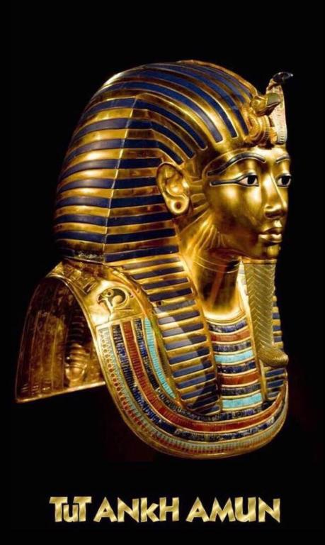 Jewel Howard Carter Hotel - 5