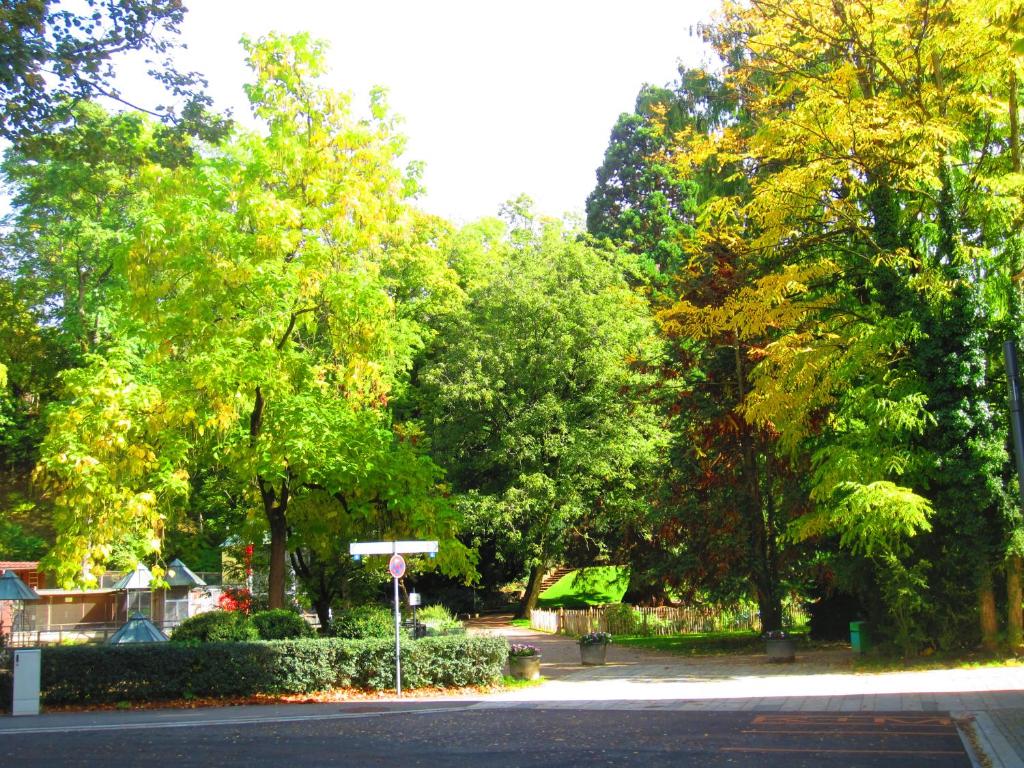Zahrada ubytování Villa Am Rosenfelspark