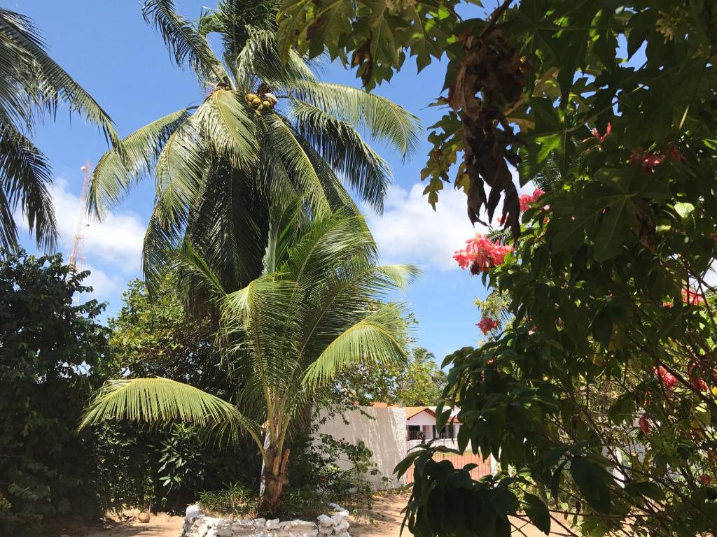  Pousada Santa Bárbara