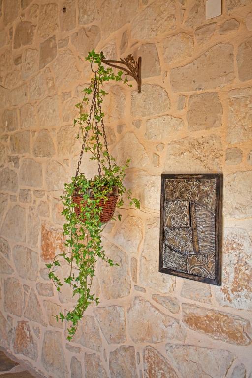 Fotografie z fotogalerie ubytování Villa Gerrito v destinaci Epáno Kefalás