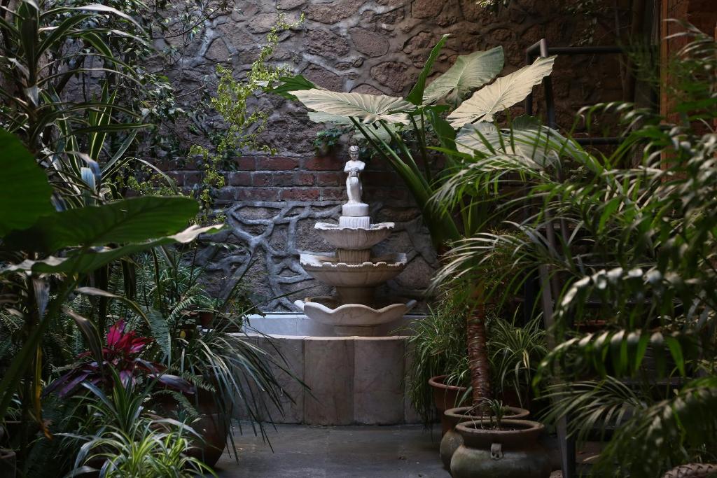 a fountain in the middle of a garden with plants at El Patio 77 B&B in Mexico City