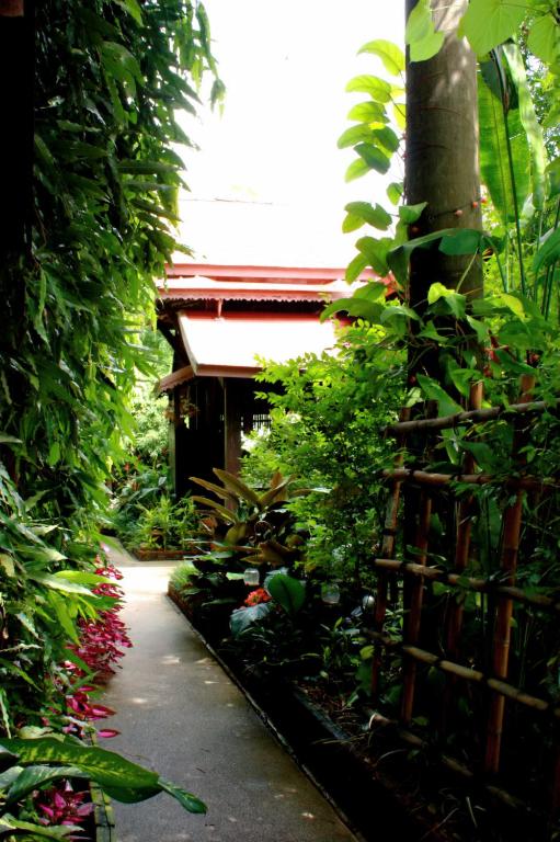 Club One Seven Gaymen Chiang Mai