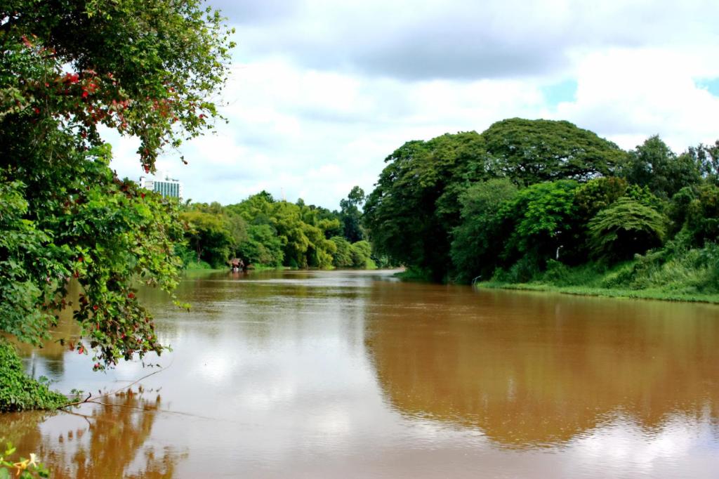 Club One Seven Gaymen Chiang Mai - Resim 14