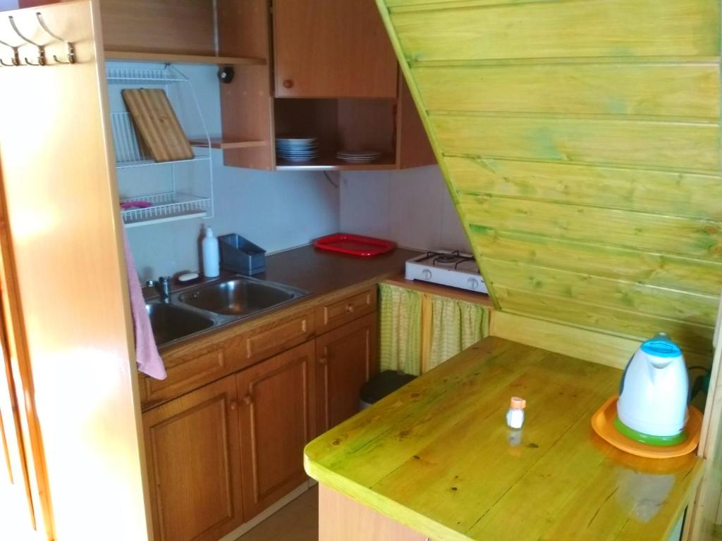 Kuchyň nebo kuchyňský kout v ubytování PEPASÓWKA Chatka Puchatka