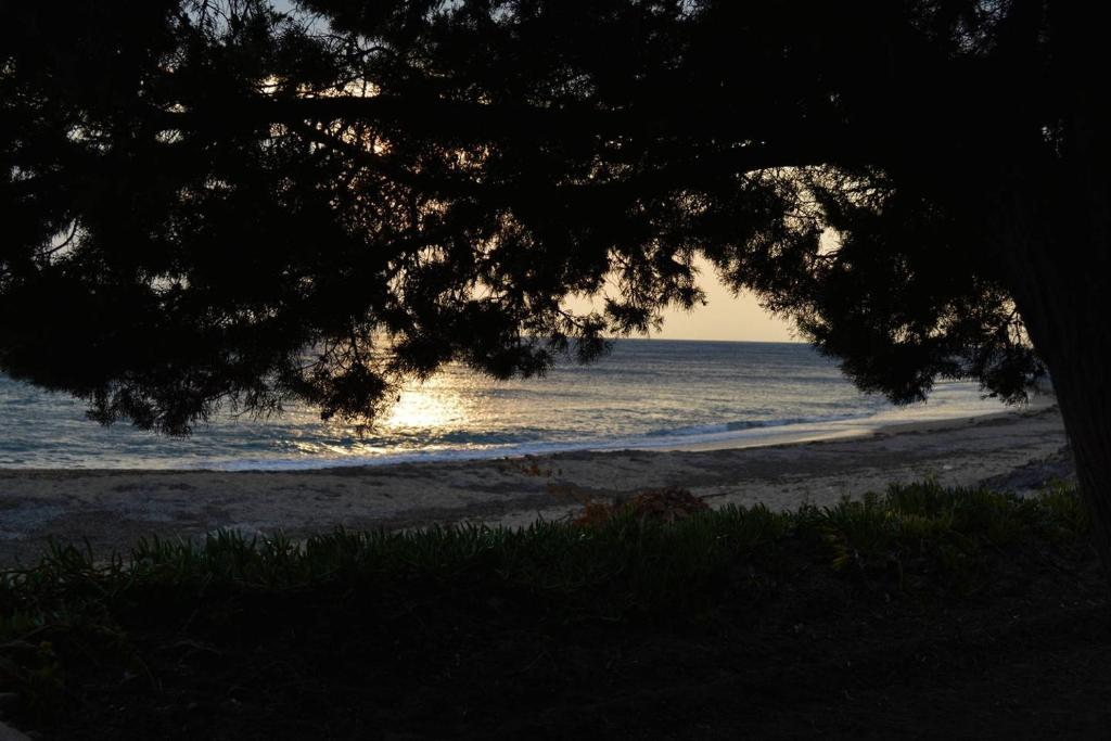 vistas a una playa con un árbol y al océano en Ionion Beach House, en Ligia