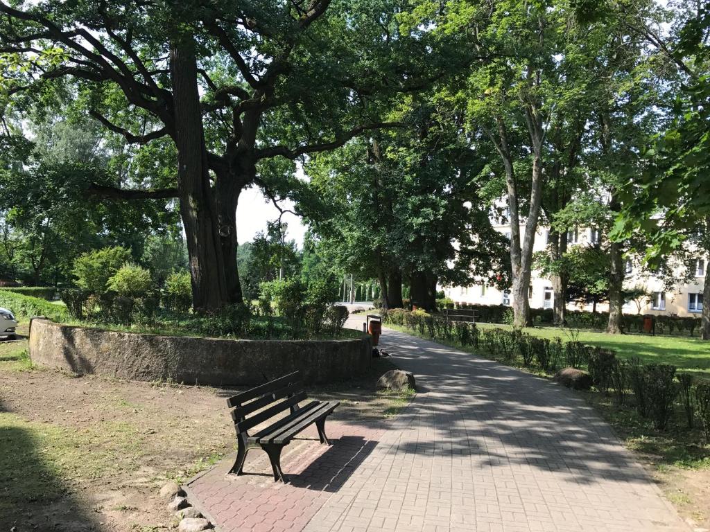 Vonkajšia záhrada v ubytovaní Widokowy Apartament nad Jeziorem