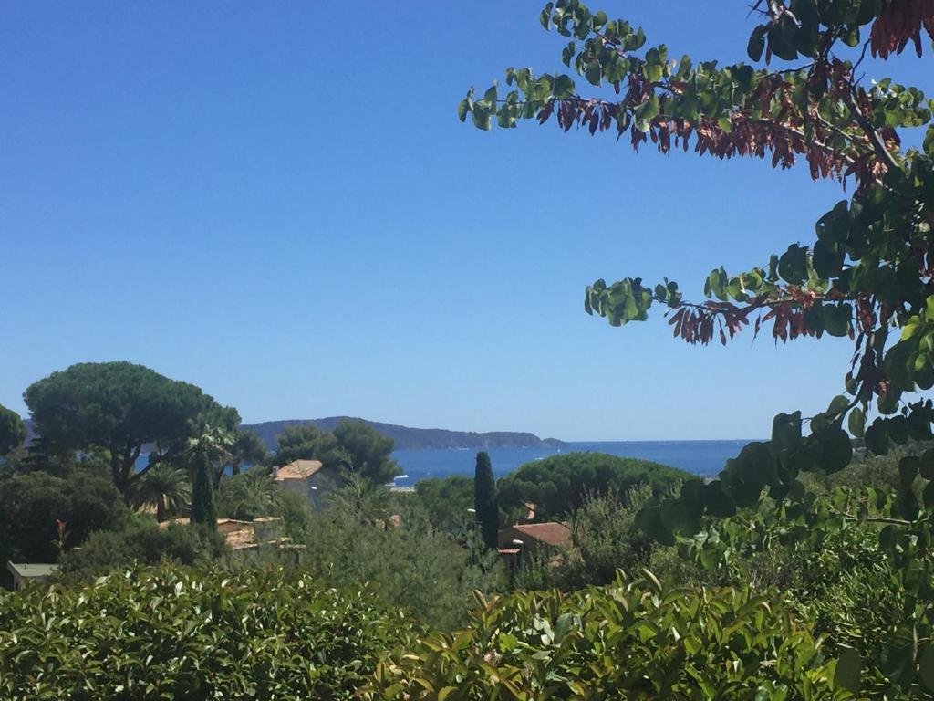 uitzicht op de oceaan vanaf een heuvel met bomen bij Villa Heliomar in Cavalaire-sur-Mer