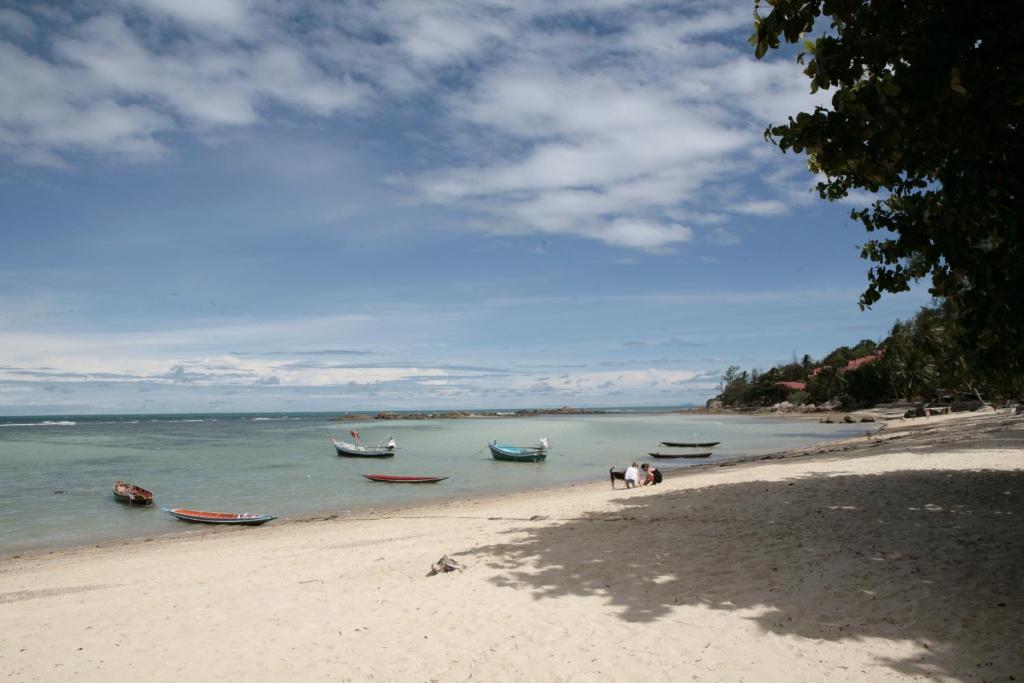 una playa con varios barcos en el agua en Jungle Hut Bungalows & Hotel, en Haad Chao Phao