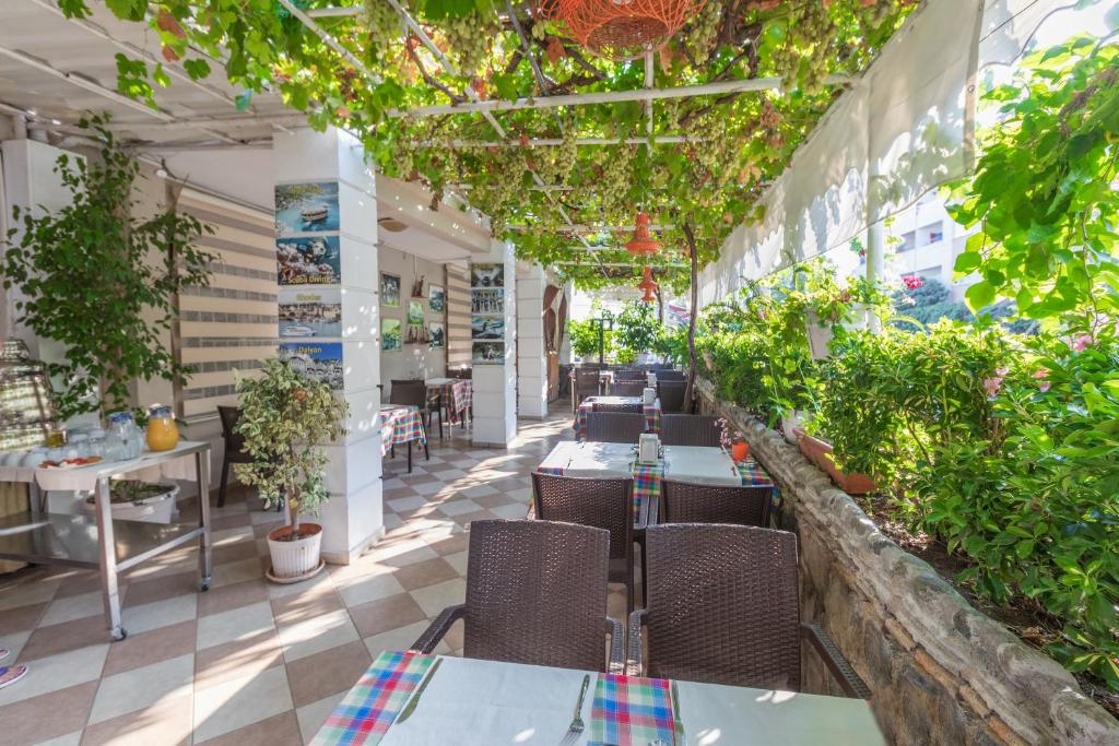 Zahrada ubytování Hotel Dost