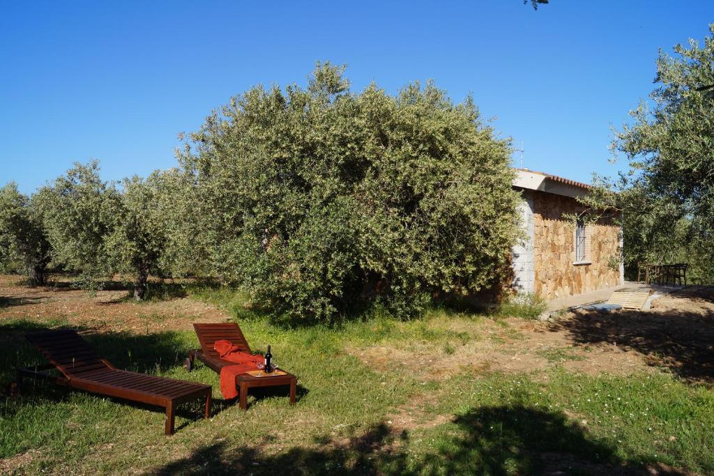 two benches sitting in the grass next to a building at Sa Tanca de Mannoi in Orosei