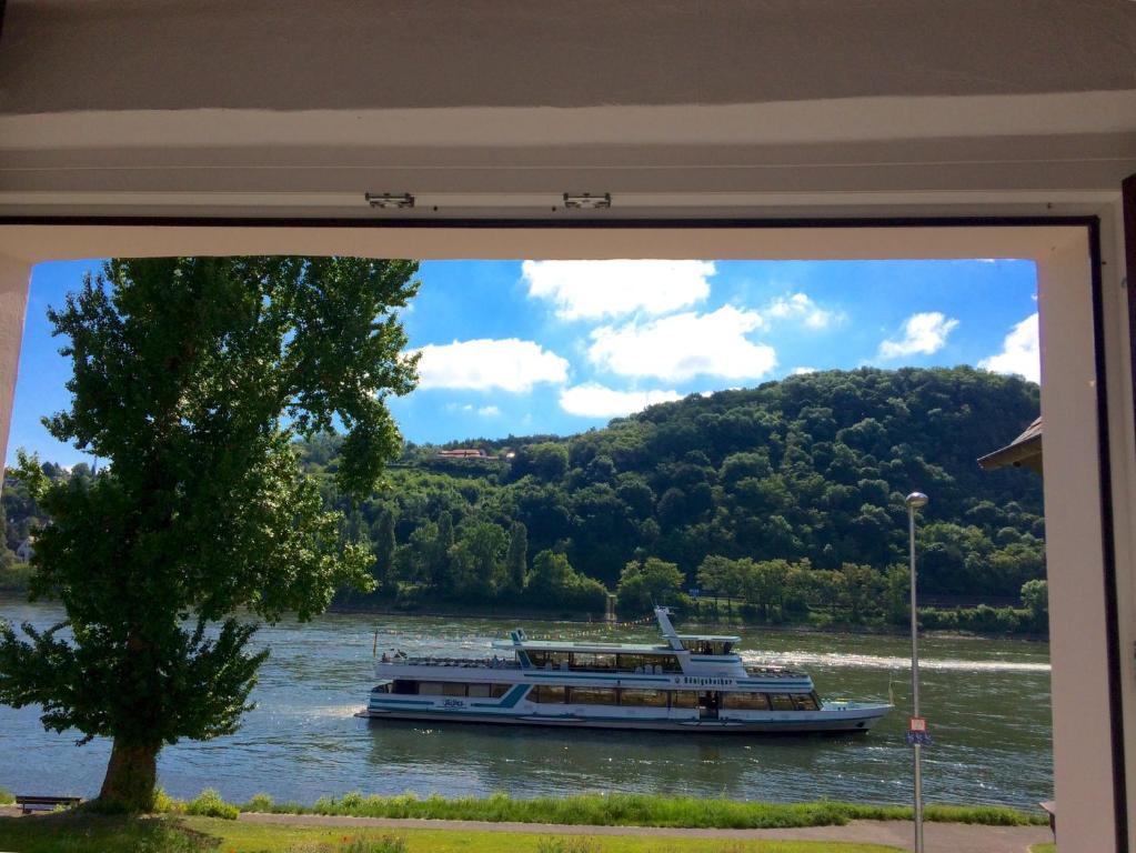 ein Boot auf einem Fluss mit einem Baum in der Unterkunft Haus am Ufer mit Rheinpanoramablick in Koblenz