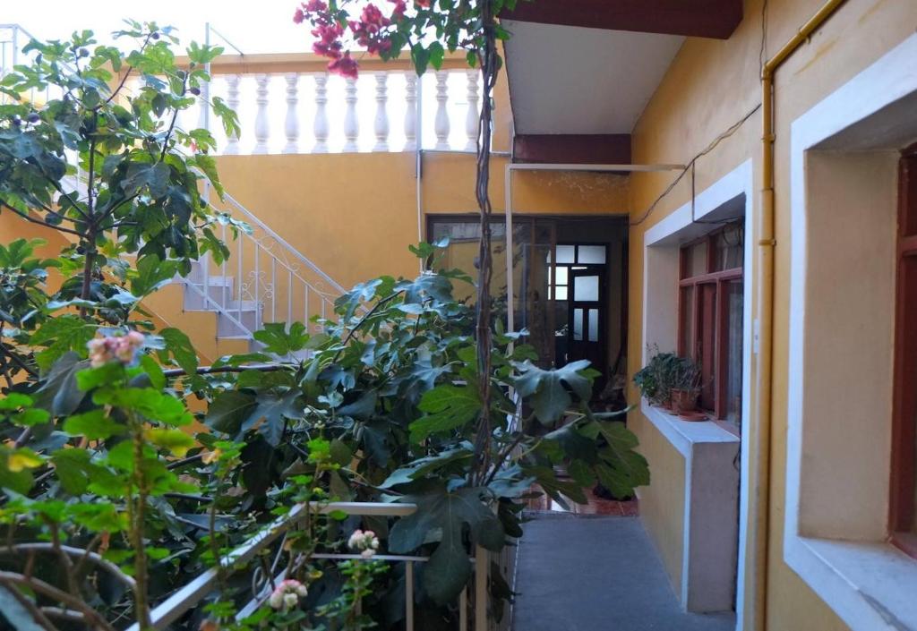 un couloir d'un bâtiment avec une bande de plantes dans l'établissement Homestay Jorge, Sucre, à Sucre