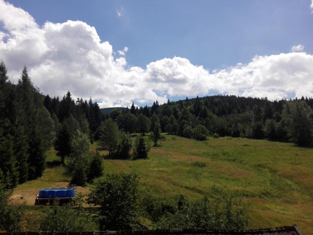 Príroda v okolí privátu