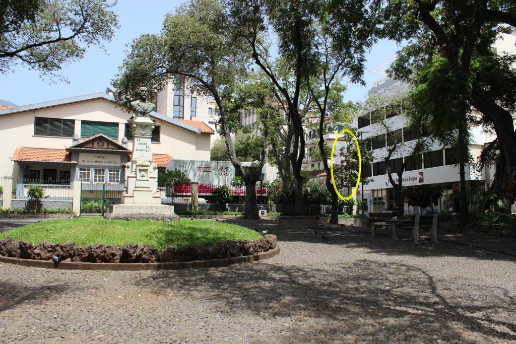 Apartments Madeira City Center - Resim 31