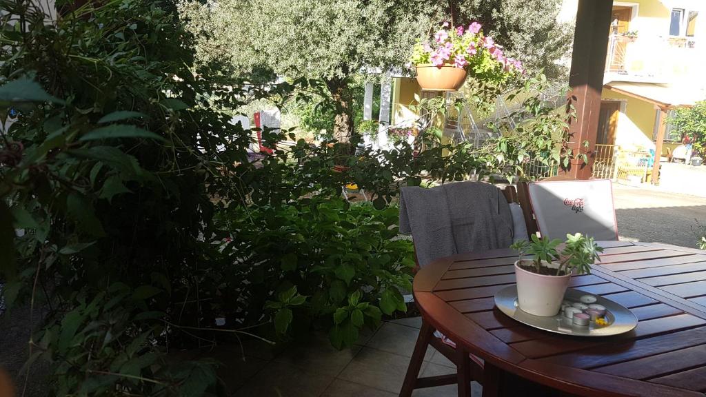 Zahrada ubytování Apartment Ecio