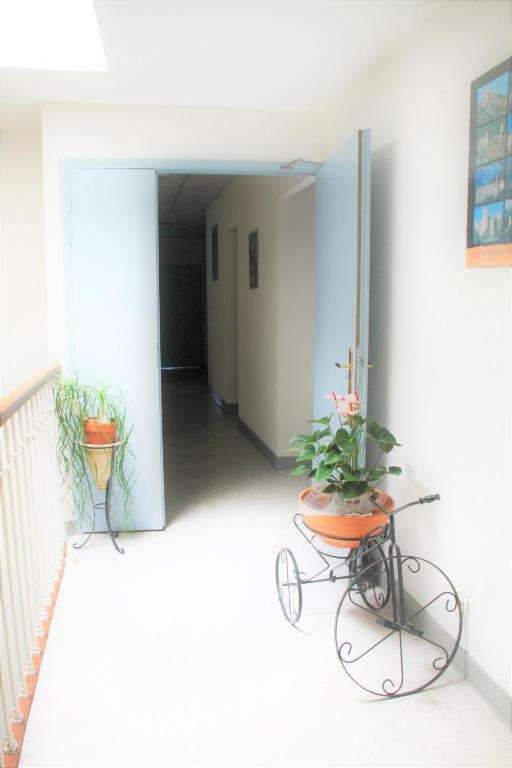 a hallway with two potted plants on a cart at Hôtel De France in Chalabre