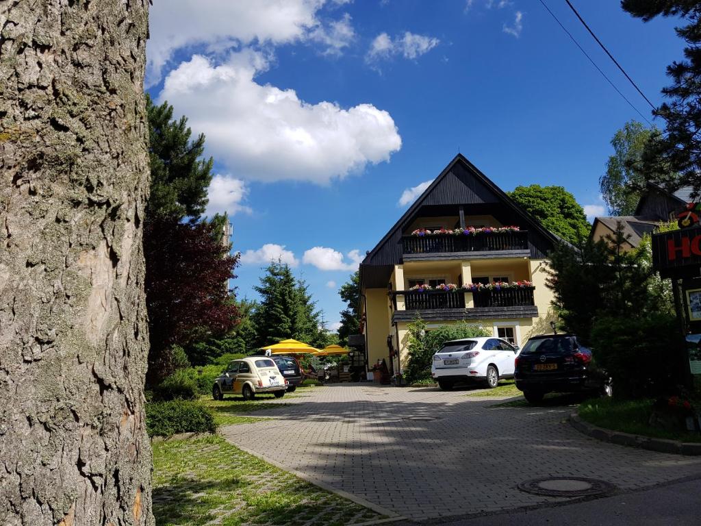 a building with cars parked in front of it at Hotel Sonne in Seiffen