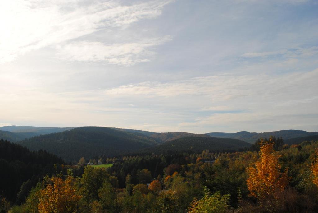 einen Blick auf die Berge und Wälder im Herbst in der Unterkunft Landgasthof Gruss in Brilon