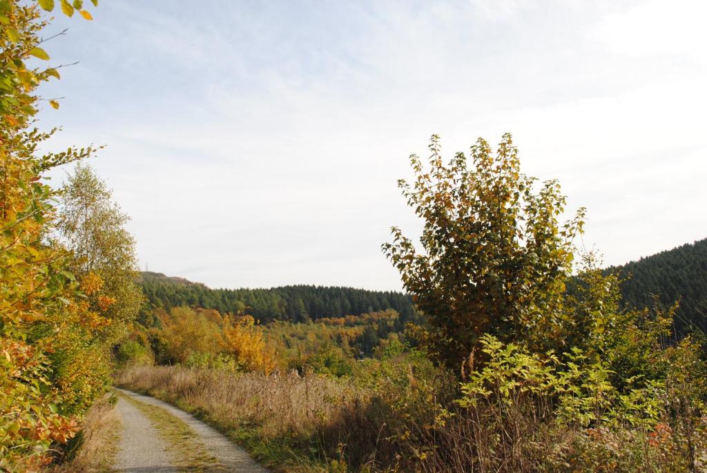 Příroda nedaleko penzionu – hostince
