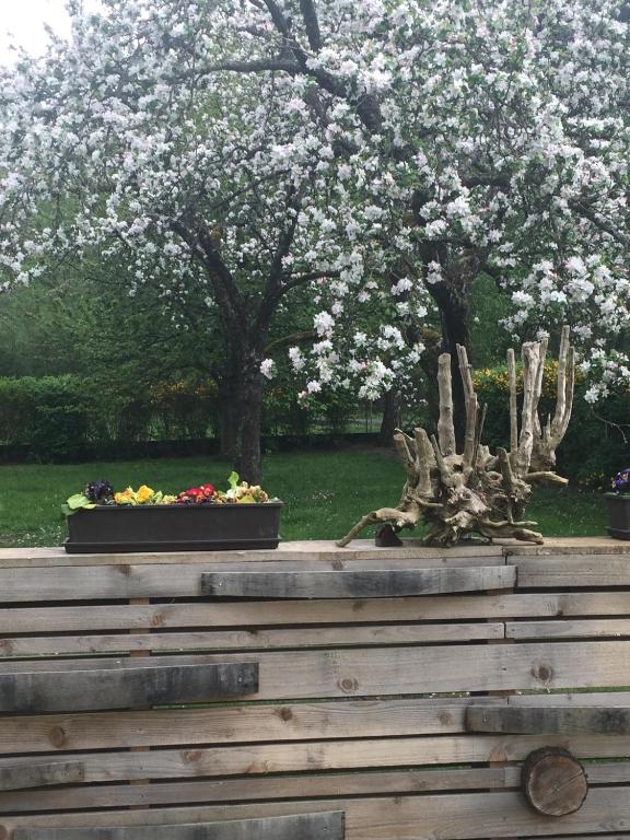 Les Hirondelles – photo 16