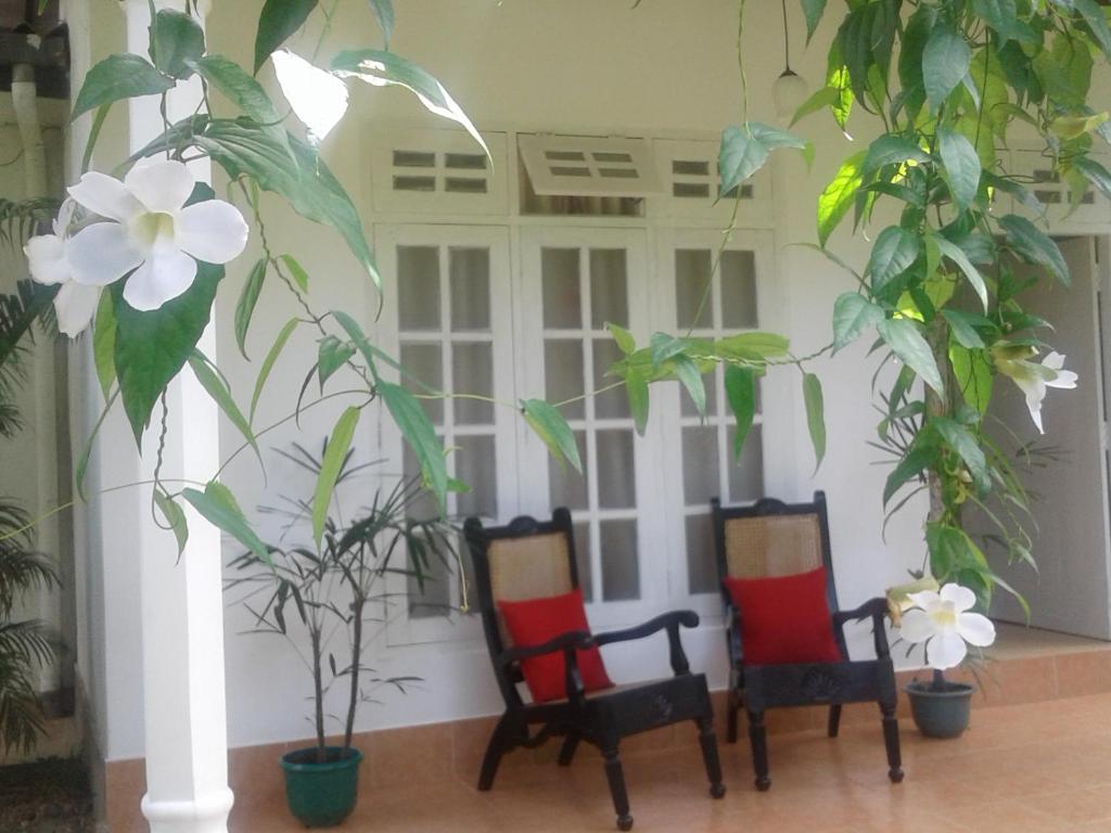 two chairs in a room with plants at Anusha Apartment 15 Homestay in Galle