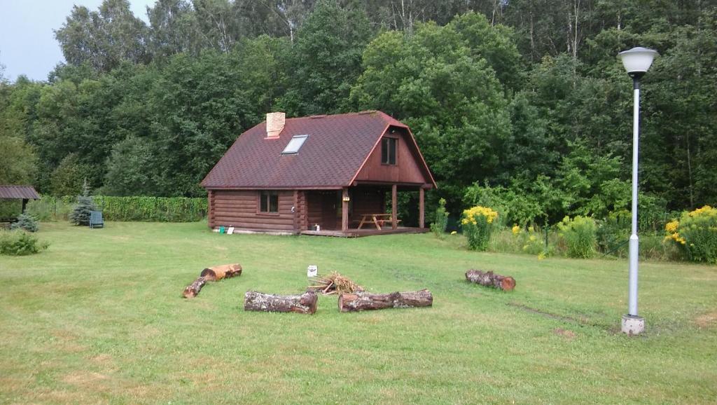 um grupo de vacas deitadas na relva em frente a uma casa em Guest Home "Būriņi" em Baldone