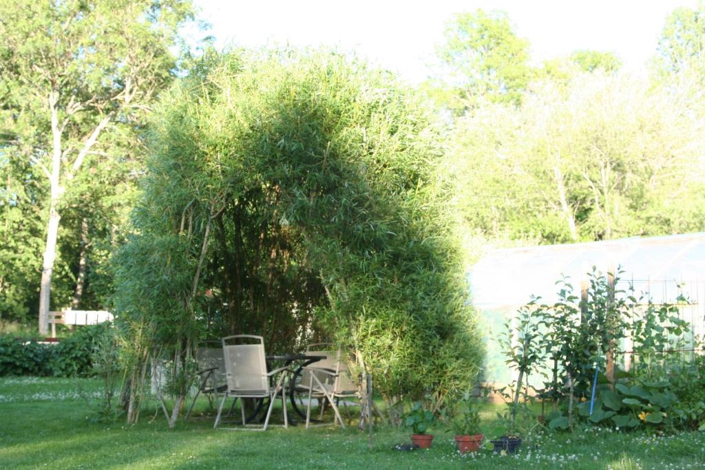 Zahrada ubytování Bed & Breakfast Björkhyddan