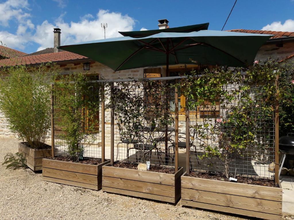 einen Garten mit Sonnenschirm und einigen Pflanzen in der Unterkunft le gîte de viré in Viré