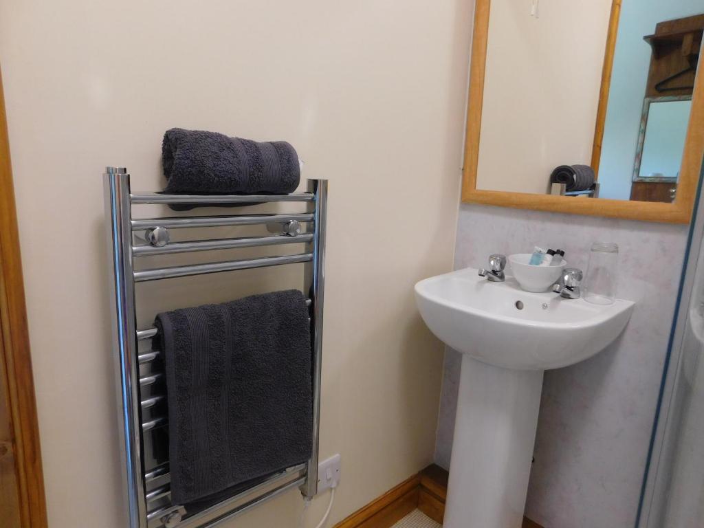 a bathroom with a sink and a mirror at The Railway Inn in Forden