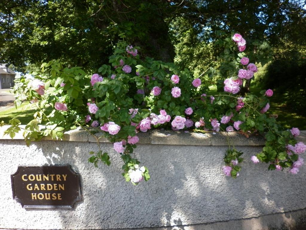 a planter filled with pink and white flowers on a wall at Country Garden House Holiday Homes in Ballymoney