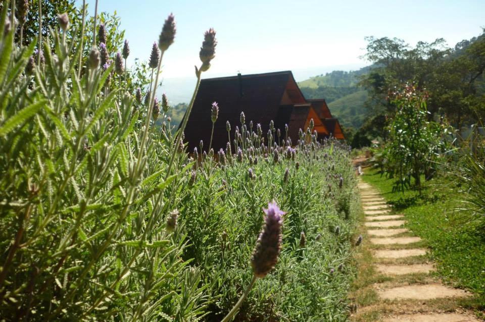 a field of plants with a barn in the background at Chalés Kayoá in Córrego do Bom Jesus