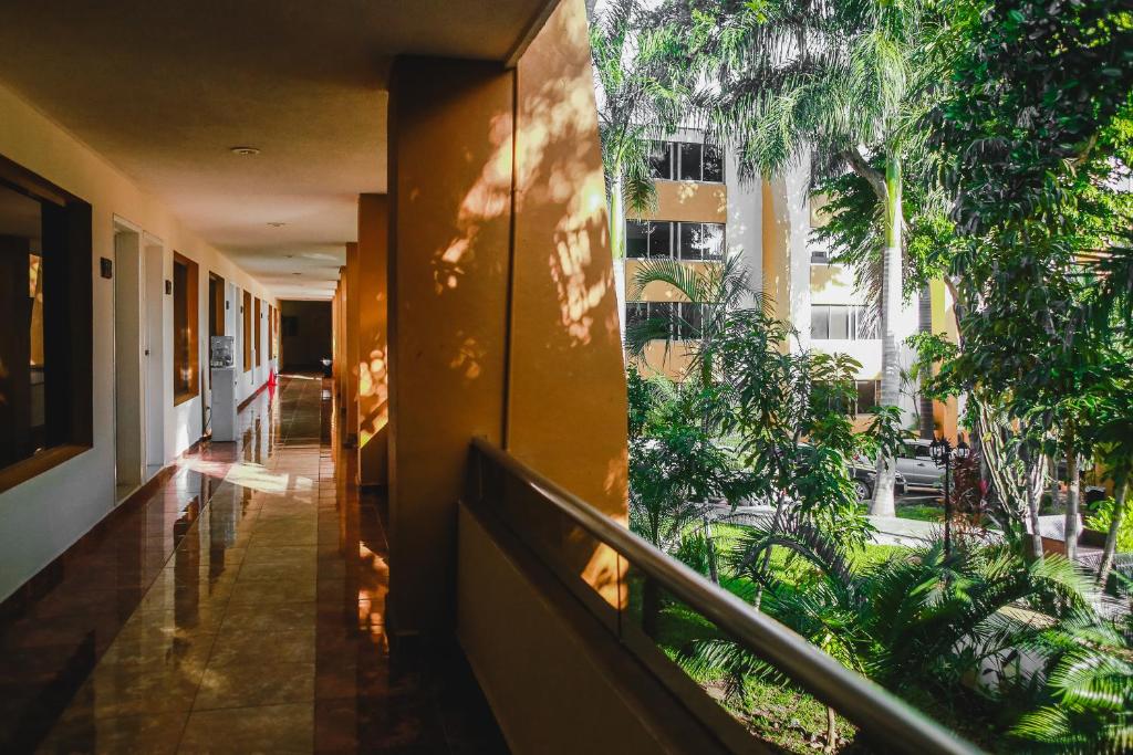 Zahrada ubytování Hotel Plaza Mirador