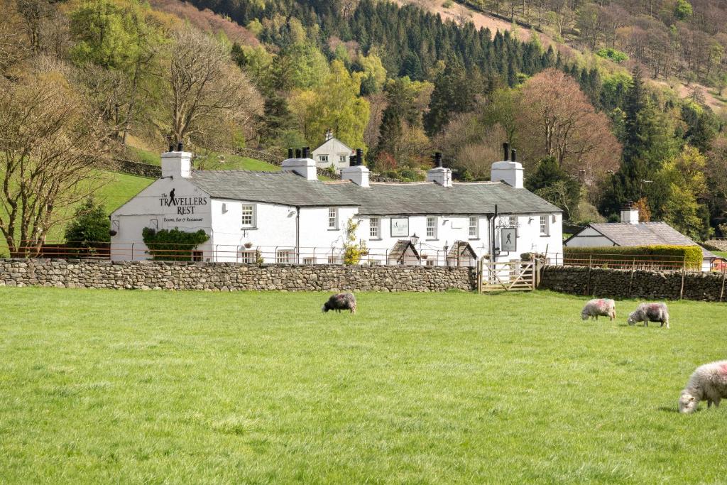 un allevamento di ovini al pascolo in un prato di fronte a un edificio di The Traveller's Rest a Grasmere