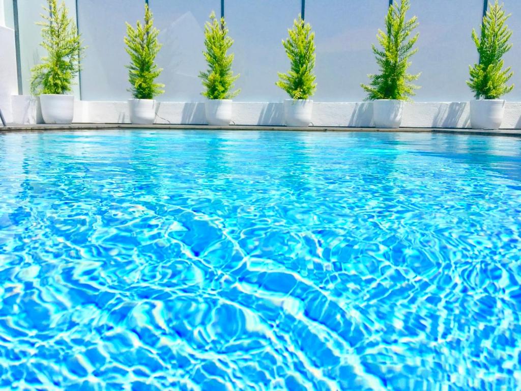 uma piscina com água azul e árvores verdes em Janota Week with pool em Setúbal