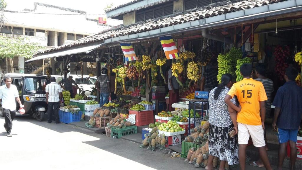 Hosté ubytování Haus am Meer "Wilde Ananas"
