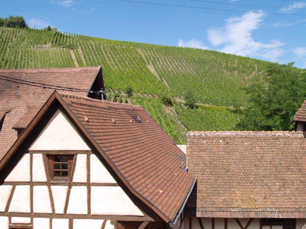 Les Ambrades Riquewihr – photo 16