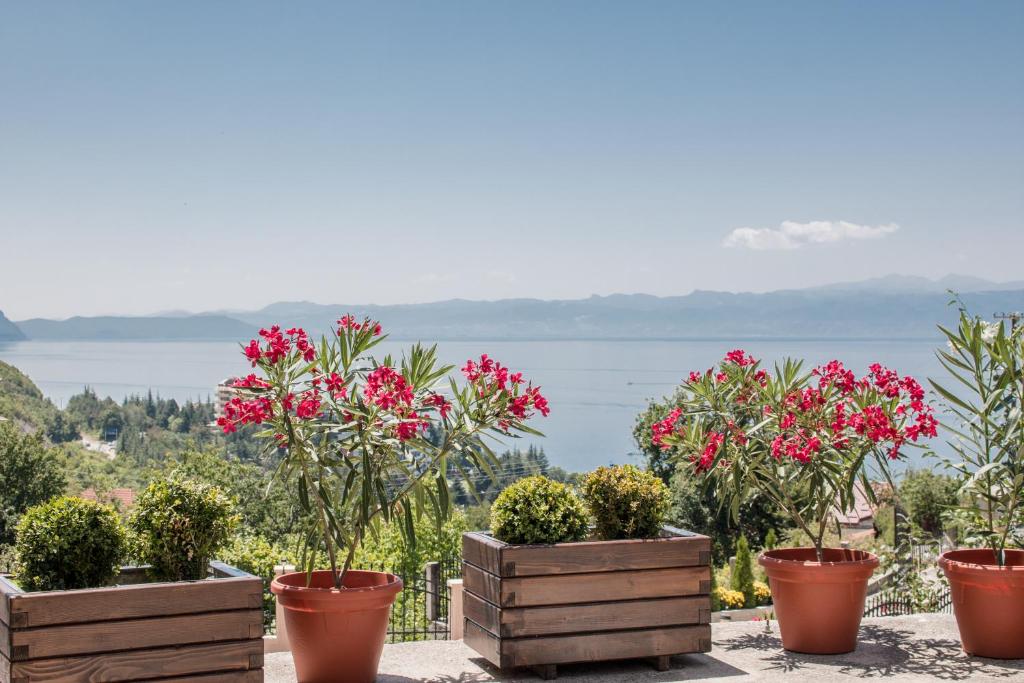 a group of potted plants with a view of the water at Villa Stefanoski in Konsko