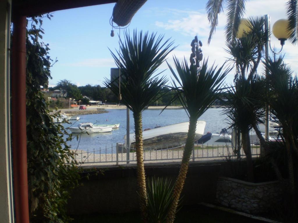 okno z palmami i łódź w wodzie w obiekcie Apartment Desa w mieście Zadar