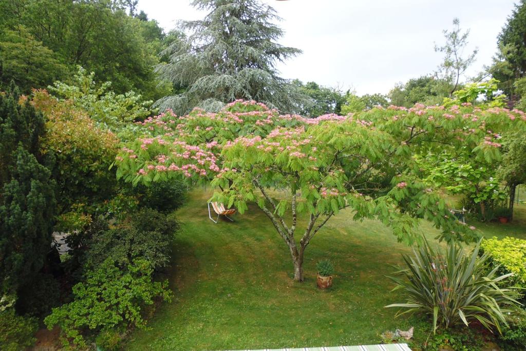 uma árvore com flores cor-de-rosa num quintal em Le Pré de la Lande em La Chapelle-sur-Erdre