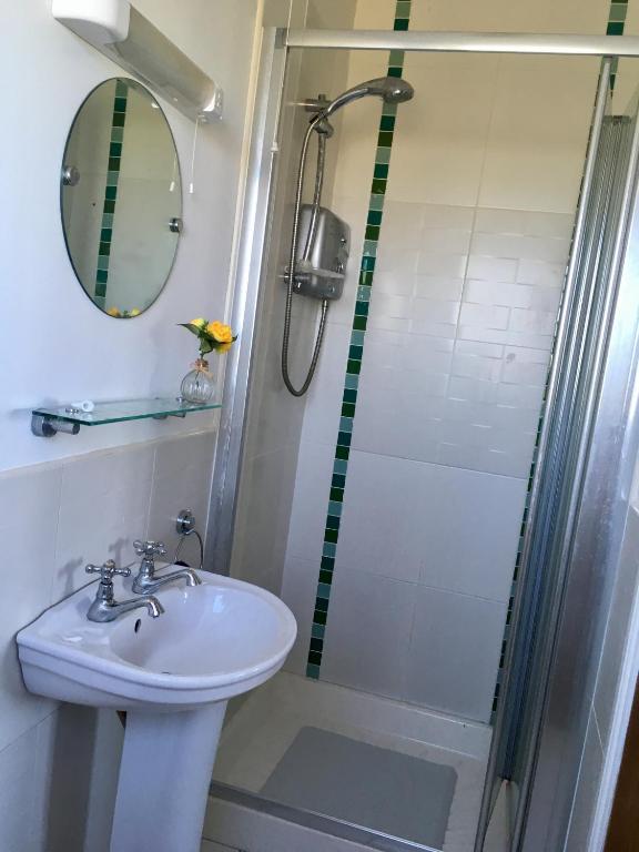 a bathroom with a sink and a shower at Burrowlodge in Kilfenora