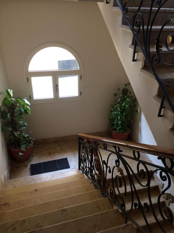 Фотография из галереи Sunny Studios in New Cairo в Каире