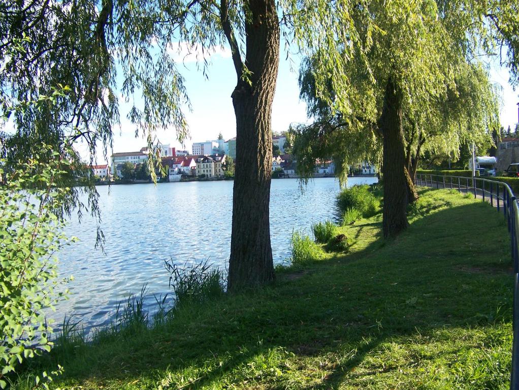 Výhled na řeku, která protéká v blízkosti apartmánu