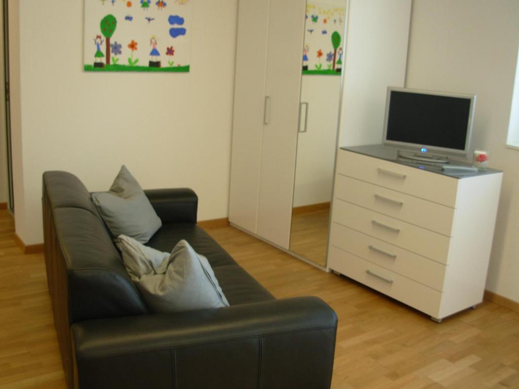 TV a/nebo společenská místnost v ubytování Studio Mythen