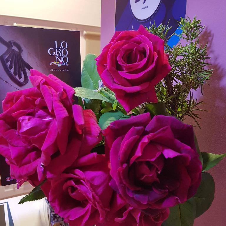 Pensión Entreviñas - 1