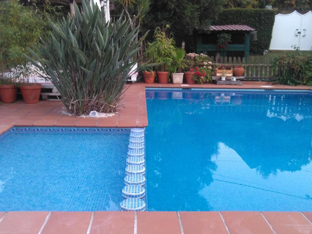 El Atico de Villalmar - 14