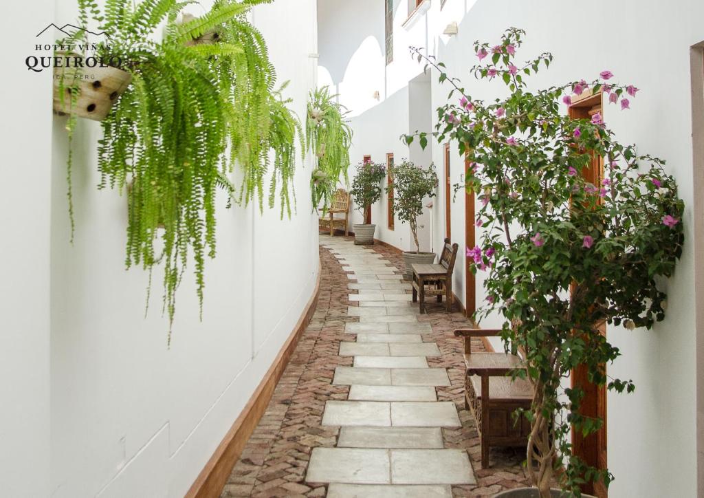 Zahrada ubytování Hotel Viñas Queirolo
