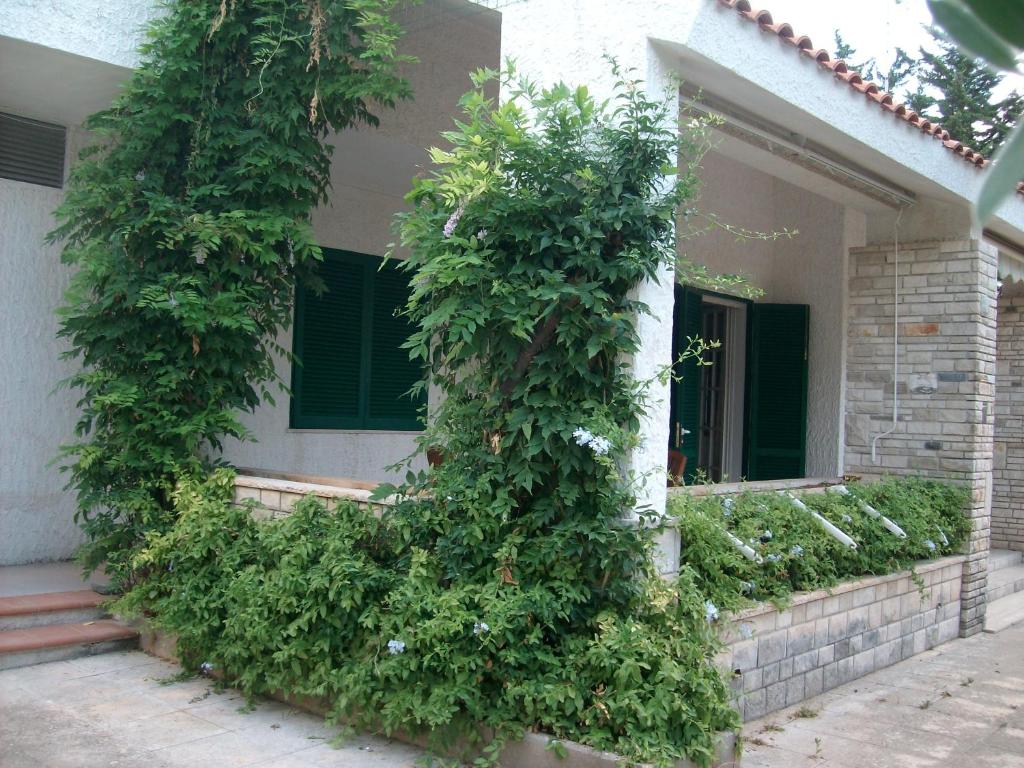 A garden outside La casa dei venti