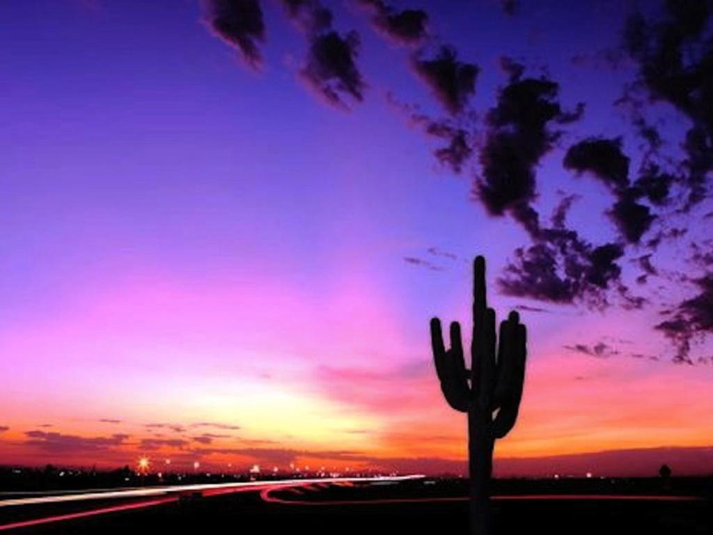 a cactus in the foreground with a sunset in the background at Private Corner of Resort -- ½ mile Walk to Nature Trails at N. Mtn. Preserve! in Phoenix