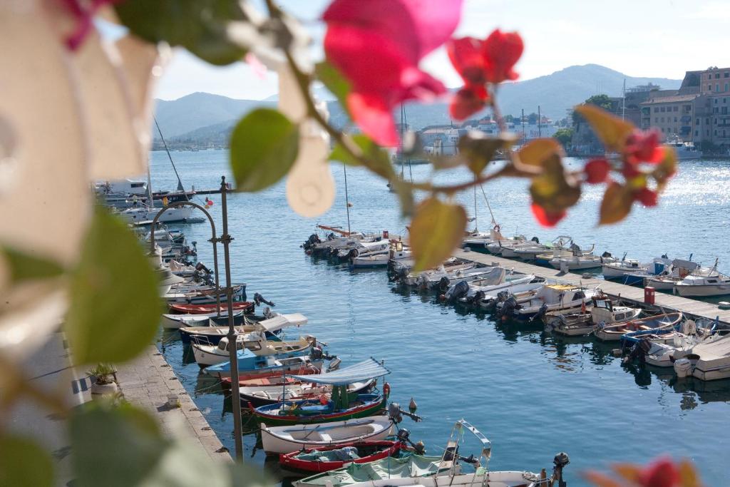 Un gruppo di barche sono ormeggiate nell'acqua. di Porto Sole Rooms a Portoferraio