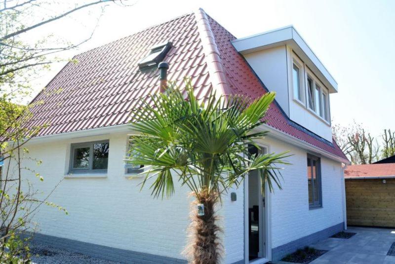 una casa con una palmera delante de ella en Vroonweg 34 sauna sunshower en Oostkapelle